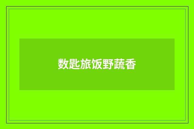 数匙旅饭野蔬香