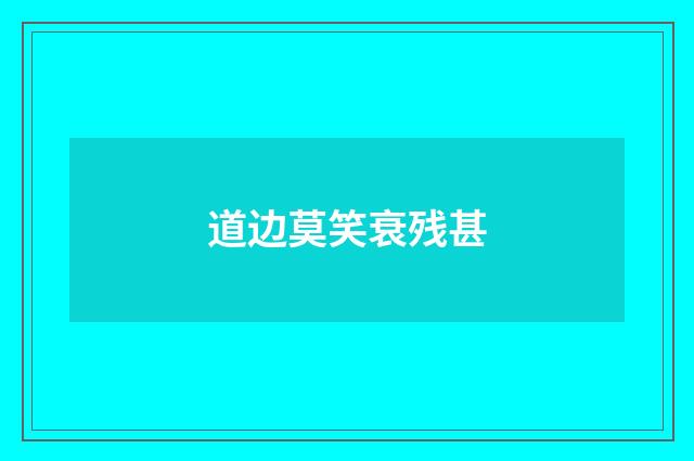 道边莫笑衰残甚