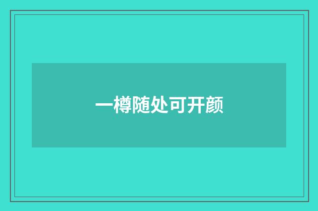 一樽随处可开颜