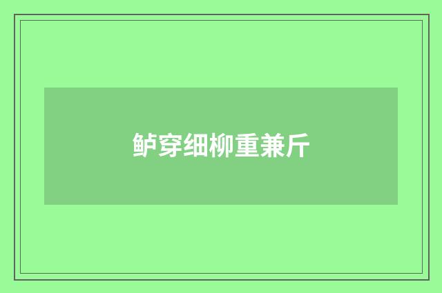鲈穿细柳重兼斤