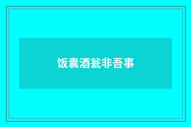 饭囊酒瓮非吾事