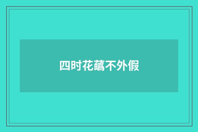 四时花蘤不外假