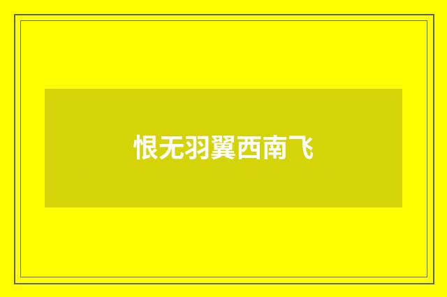 恨无羽翼西南飞