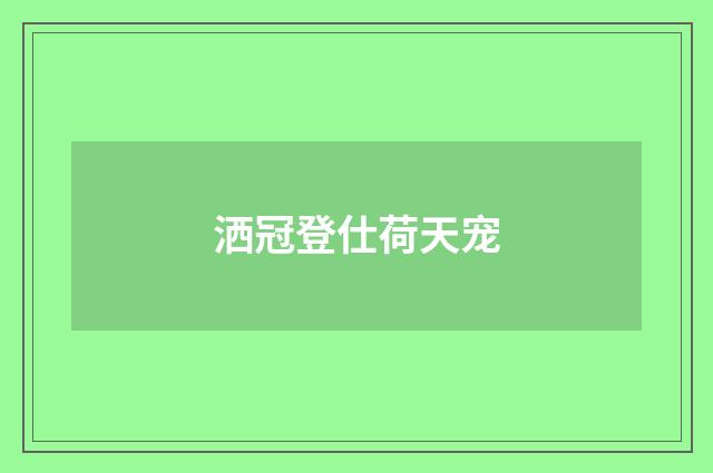 洒冠登仕荷天宠