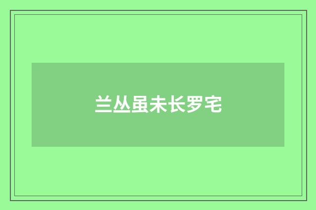 兰丛虽未长罗宅
