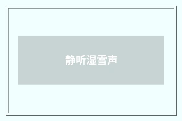 静听湿雪声
