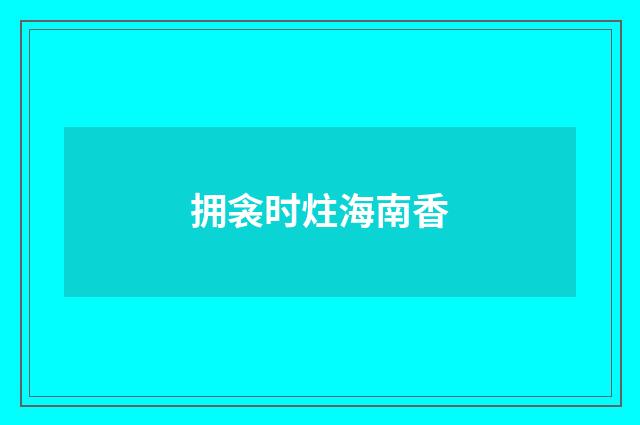 拥衾时炷海南香