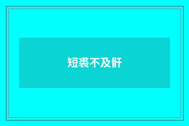 短裘不及骭