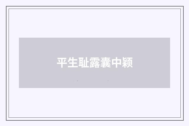 平生耻露囊中颖