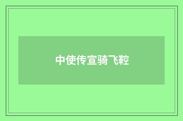 中使传宣骑飞鞚