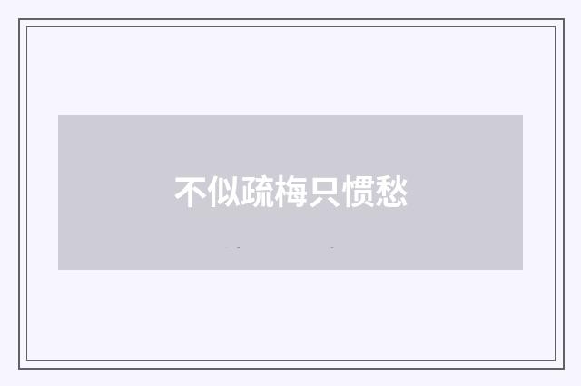 不似疏梅只惯愁
