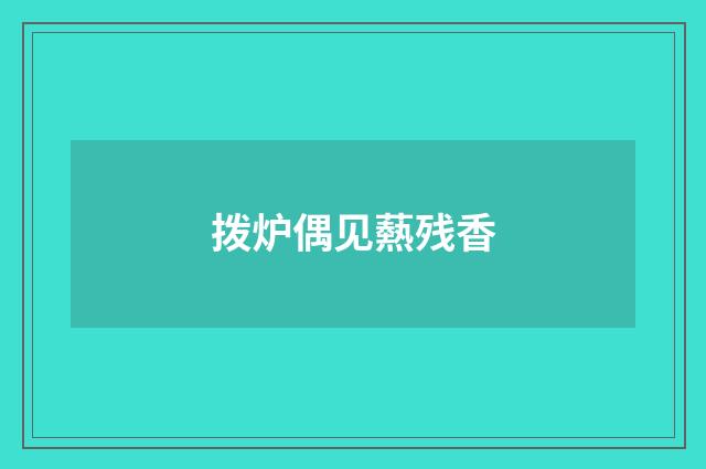 拨炉偶见爇残香