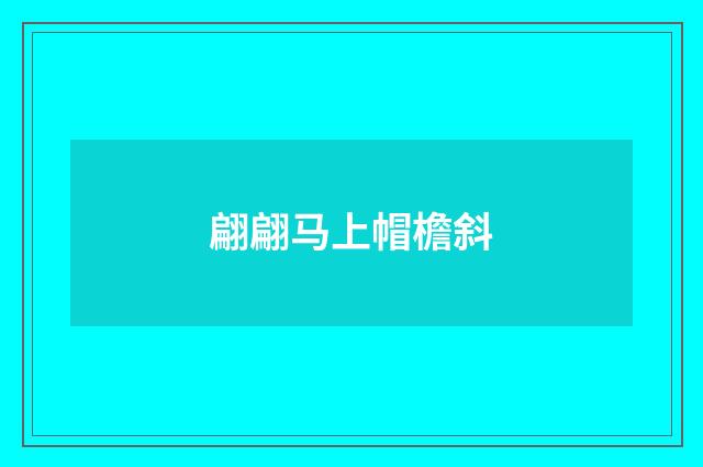 翩翩马上帽檐斜