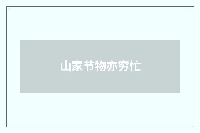 山家节物亦穷忙