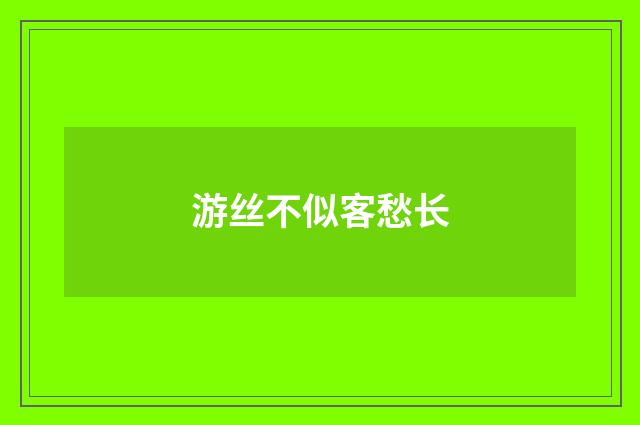 游丝不似客愁长