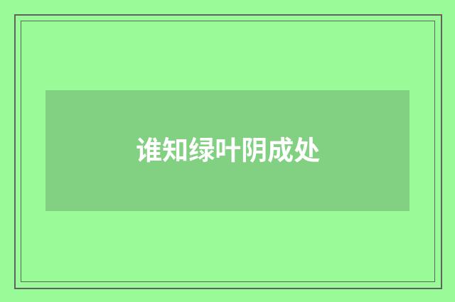 谁知绿叶阴成处