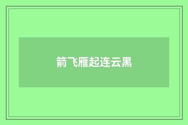 箭飞雁起连云黑
