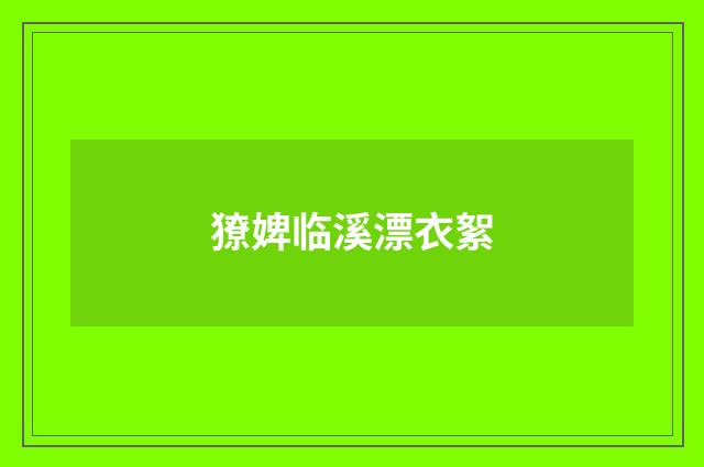 獠婢临溪漂衣絮