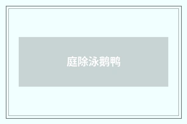 庭除泳鹅鸭