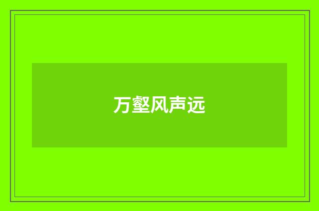 万壑风声远