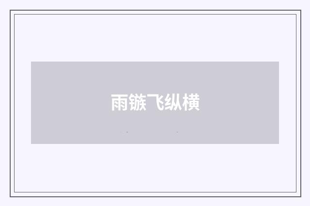 雨镞飞纵横