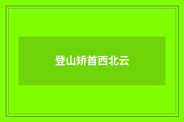 登山矫首西北云
