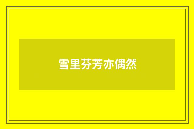 雪里芬芳亦偶然