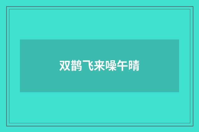 双鹊飞来噪午晴