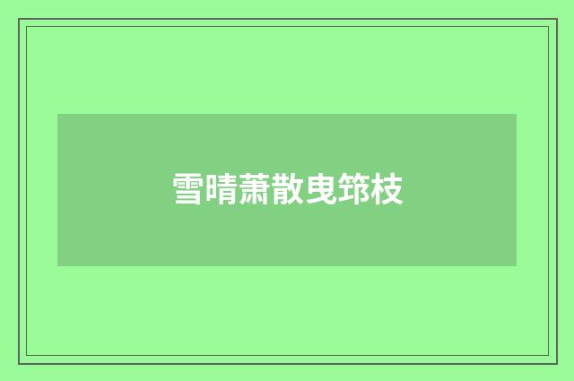 雪晴萧散曳筇枝