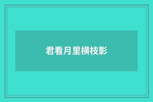 君看月里横枝影