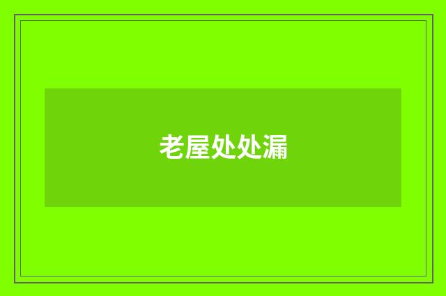 老屋处处漏