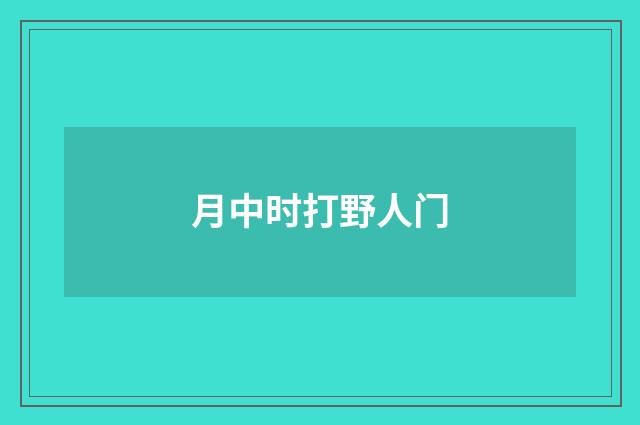 月中时打野人门