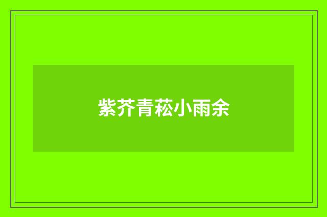紫芥青菘小雨余