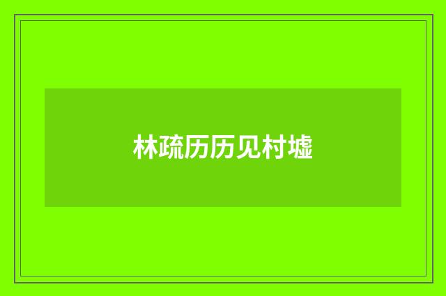 林疏历历见村墟