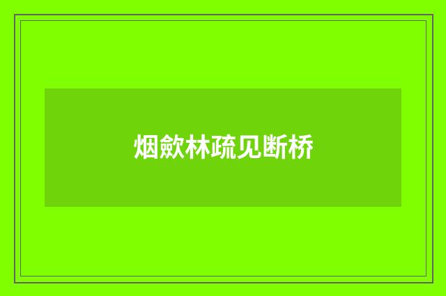 烟歛林疏见断桥