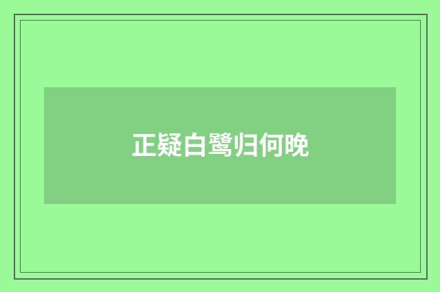 正疑白鹭归何晚