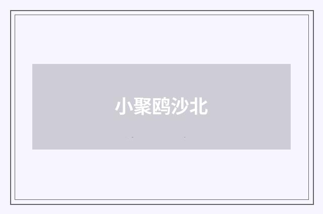 小聚鸥沙北