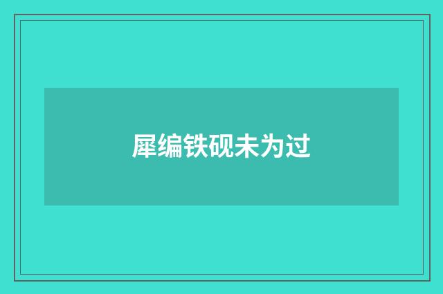 犀编铁砚未为过