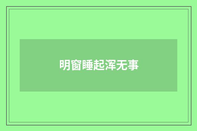 明窗睡起浑无事