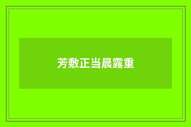 芳敷正当晨露重