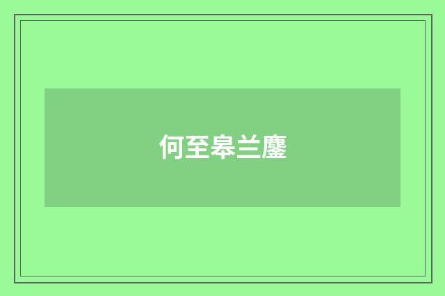何至皋兰鏖