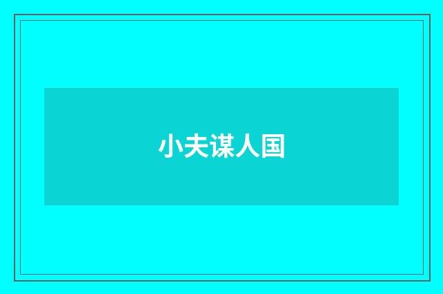小夫谋人国