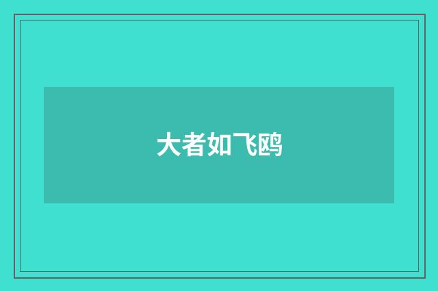 大者如飞鸥