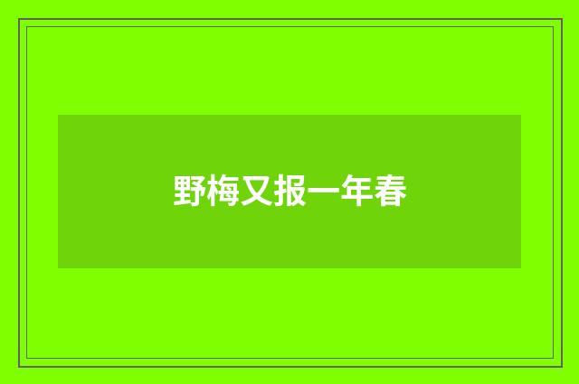 野梅又报一年春