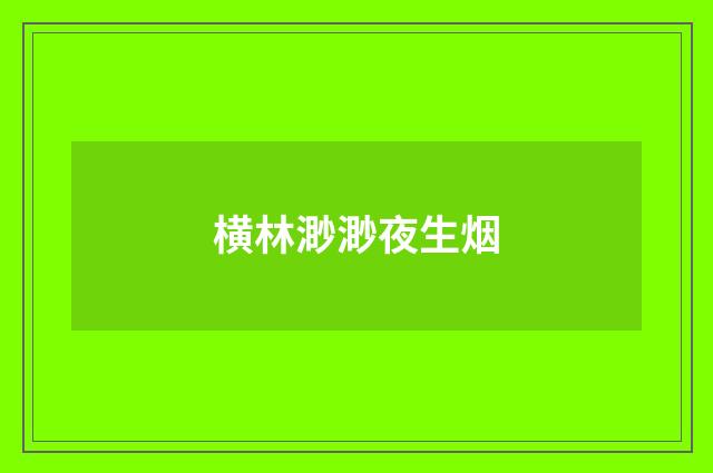 横林渺渺夜生烟