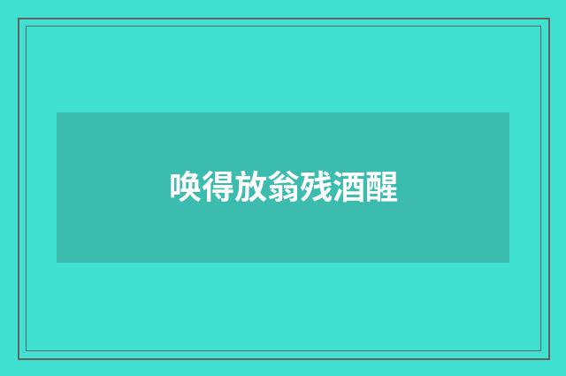 唤得放翁残酒醒