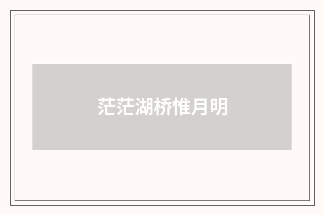 茫茫湖桥惟月明