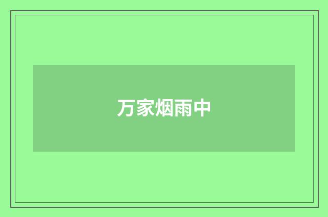 万家烟雨中