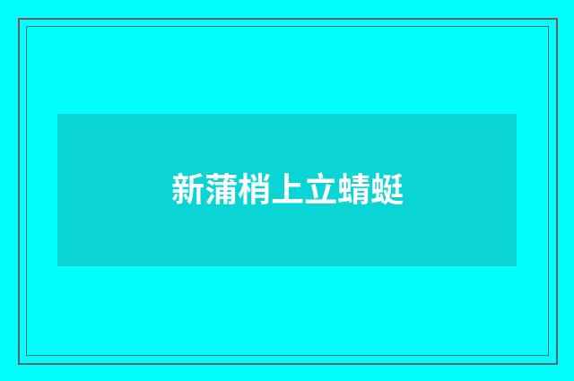 新蒲梢上立蜻蜓