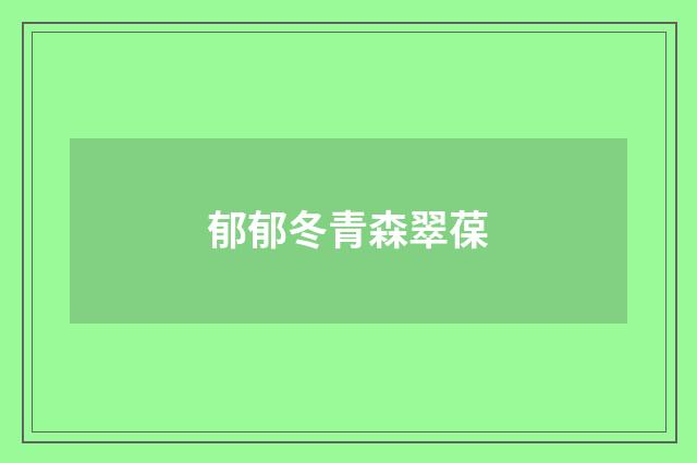 郁郁冬青森翠葆